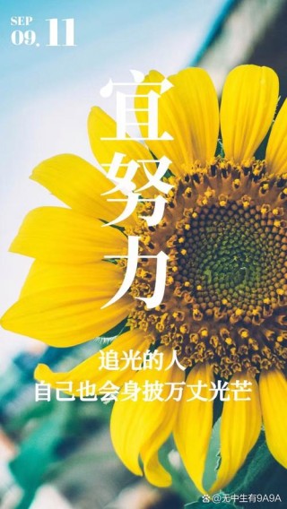 关于激励人的经典句子，迎着阳光，一路向前！