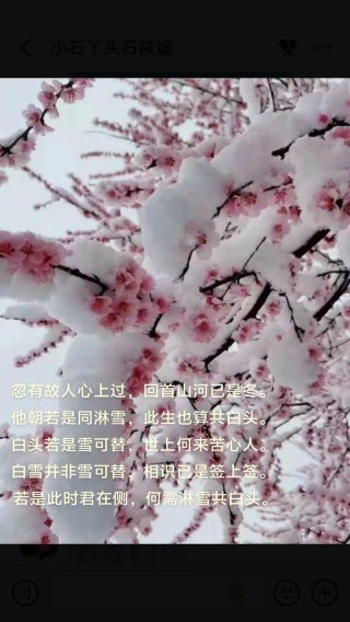 此生来过