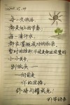 6条正能量励志短句写给自己：努力改变人生，越努力，越幸运