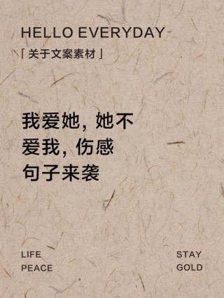 〖伤心后不再爱的文案〗