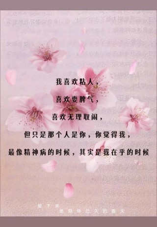 情感语录大全，情感语录精选集