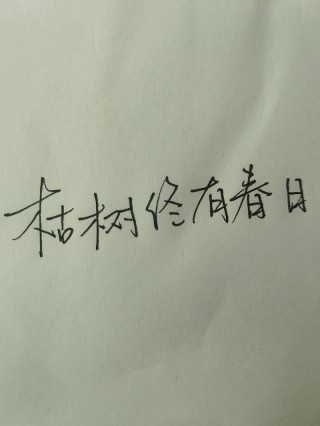 你留给我的都在那场梦里