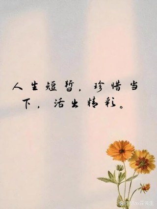 这些话真把人生说透了（值得一看）