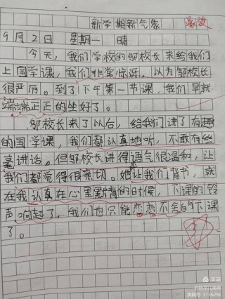 校园日记    一