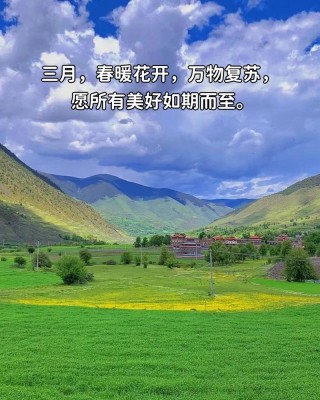 三月美好，人生向美而行，走着走着花就开了