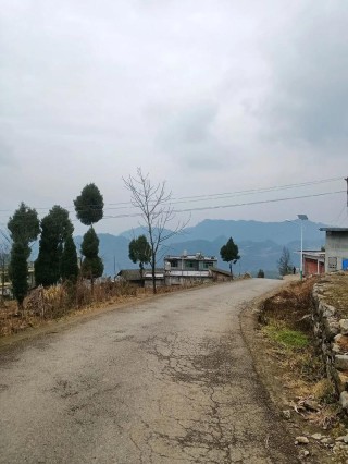 走在家乡的小路上