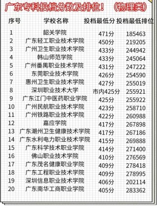 广东物理类295分能上什么好大学2026（附排名）