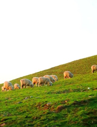 马楠山，那如歌的名字