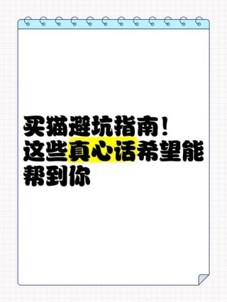 我想用10000元买你一句真心话