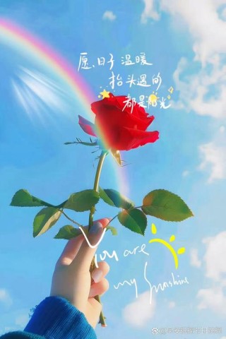 发朋友圈的精美句子（朋友圈干净简短好句子）