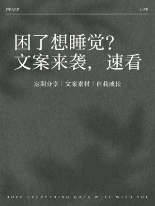 困了就睡的经典名言（想睡觉的经典语录）