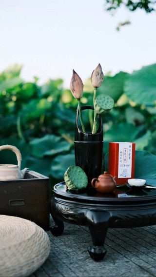 悠闲夏日，驻足赏花品茶！