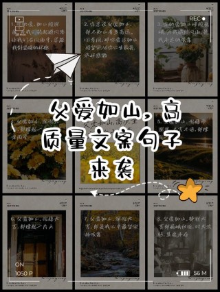 赞美父爱的千古名句，赞美父爱的千古名句，父爱如山，深沉而伟大。