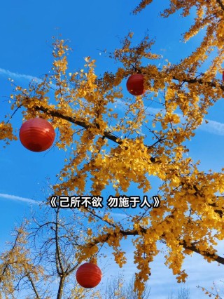 易中天经典语录十条