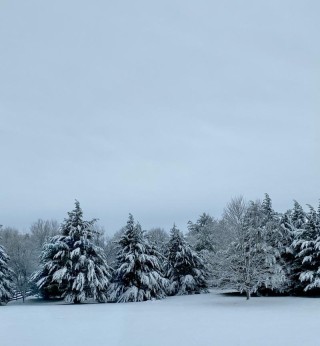 北风吹雪花飘飘