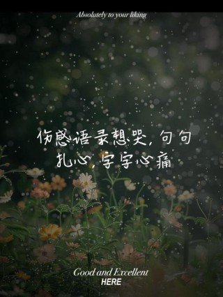 扎心语录，句句入魂2
