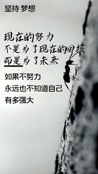 励志的经典句子：习惯是一种顽强而巨大的力量，它可以主宰人生