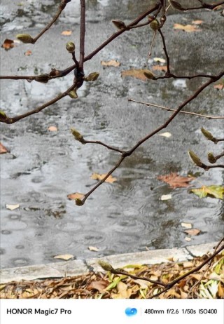 七月雨落