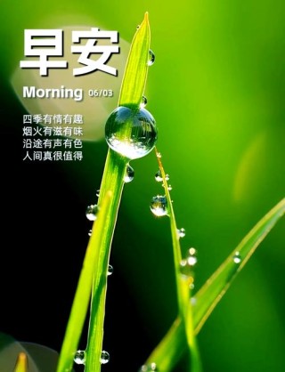 正能量激励人的好句子，正能量激励人生，勇往直前的力量之句