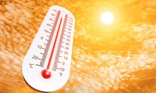阳光下的温度
