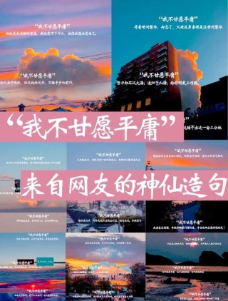 平庸的人之所以平庸