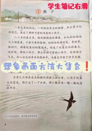 燕子、故乡与父母