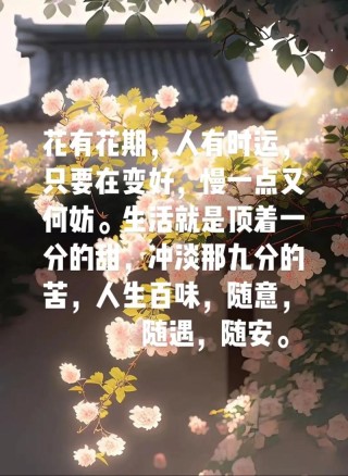 为人随和一点，生活更加美好