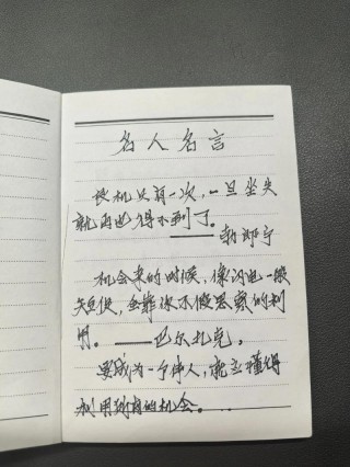 名人名言录，名人名言录，智慧与启示的汇聚