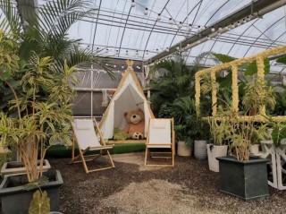 山东桓台苗木花卉种植走上致富路