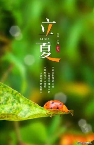 明日立夏，老祖宗留下的关于立夏的6句俗语，每一句都饱含智慧