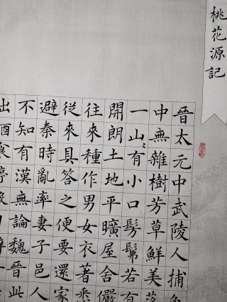 入桃花源而作赋（打一新词语）