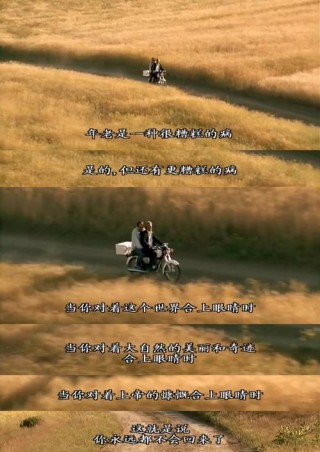 那一场随风消逝的“爱情”