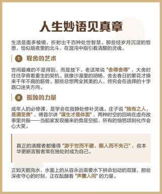 人生妙语，人生妙语，智慧与感悟的交织之歌