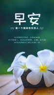 最精辟的早安语录，句句入骨，让人忍不住分享！