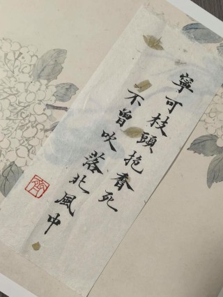 枕着绵软清香入梦