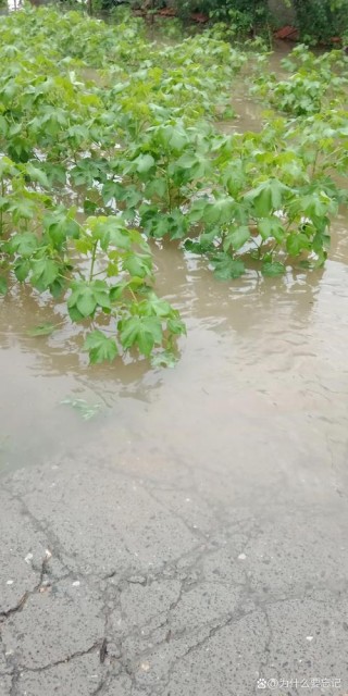 昨天的那场雨
