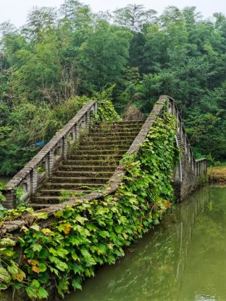 在通向家乡的小桥上