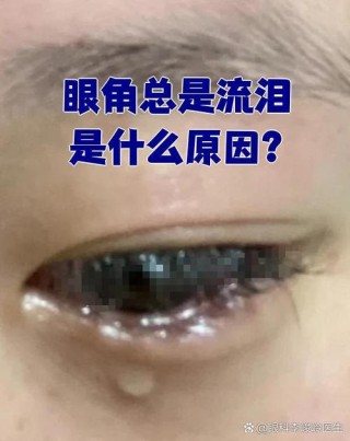 是谁让你这样的哭过