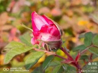 那一抹“红”彩