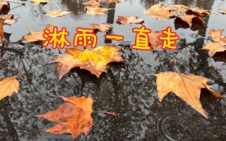 雨一直在下