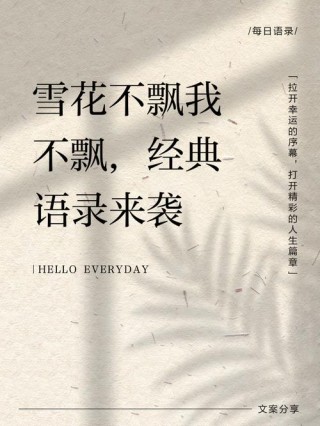 你若来，携一瓣故乡的雪花儿