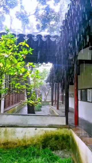 雨打亭台