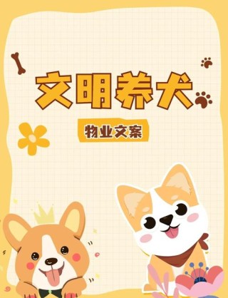 自律遛狗，让城市更美好