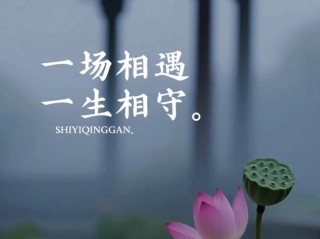 久离相惜