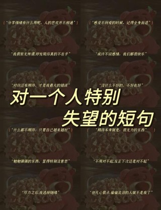 暗示自己特别失望的文案