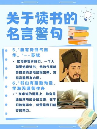 读书的名人素材，读书的名人素材，从名人经历中汲取读书的力量与智慧