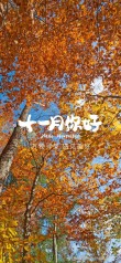 文案 | 温柔且美好的十一月文案