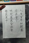 人生感悟；红尘俗世间，人生似浮云