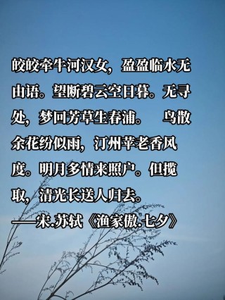 拾一缕夕光 藏半夏忧伤