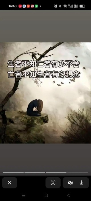 念为何在此成为了伤痛